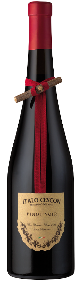 Italo Cescon Il tralcetto Pinot Noir