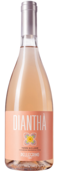 Pellegrino Diantha Rose Sicilia