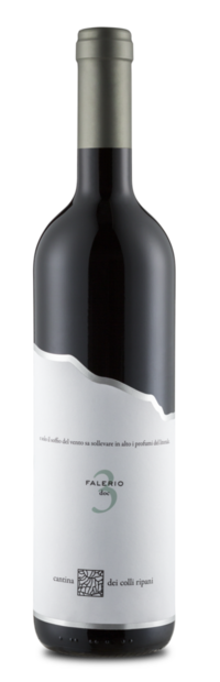 La Cantina dei Colli Ripani Falerio Capitolo no. 3