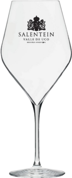 Salentein Glas Absulus 47cl